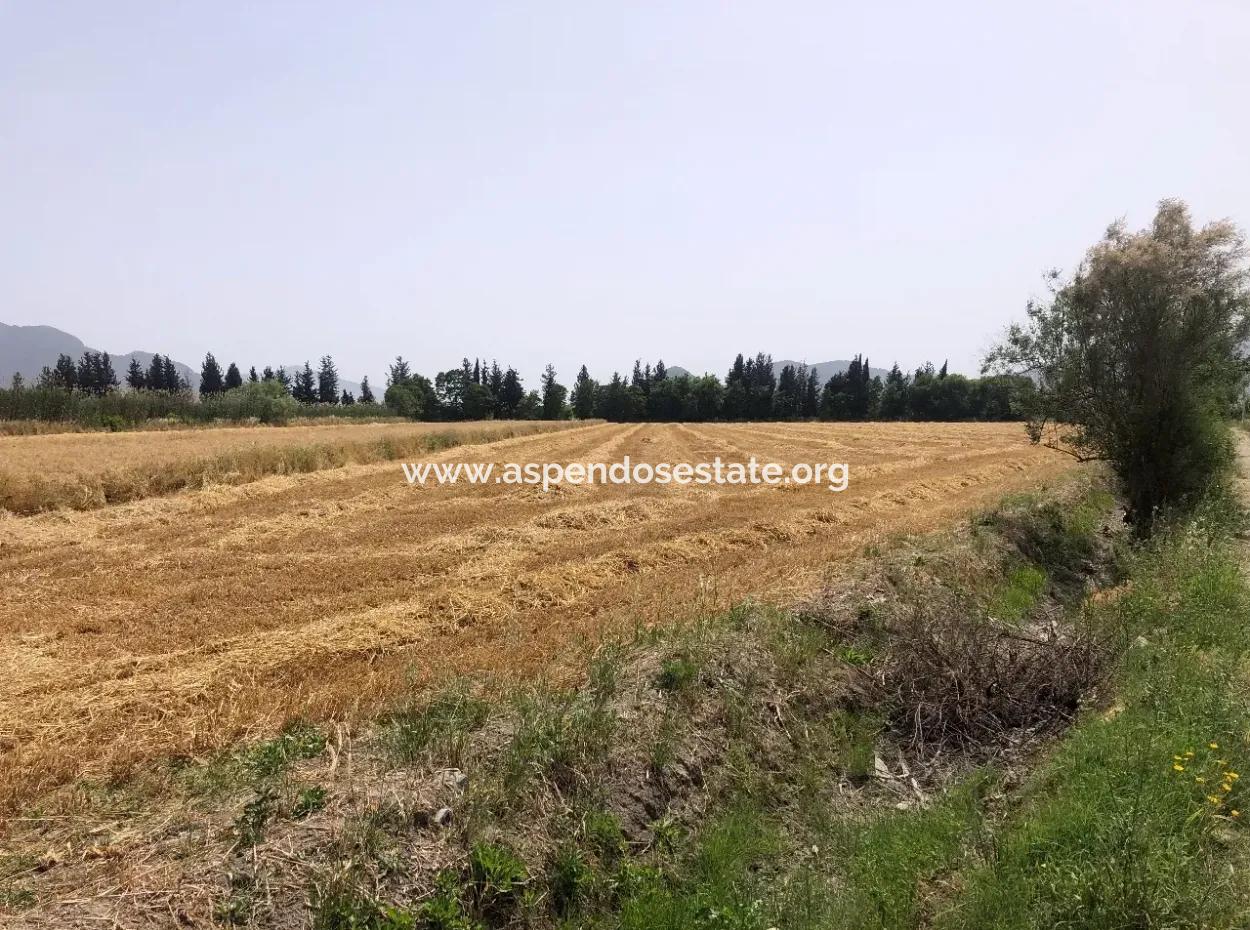 Ackerland Zum Verkauf 39 Hektar In Eskikoy