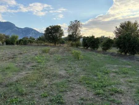 7.450M2 Land Zum Verkauf In Der Nähe Des Zentrums Von Dalyan