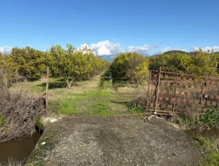 23.000M2 Freistehender Feldgarten Zum Verkauf In Tepearasin,