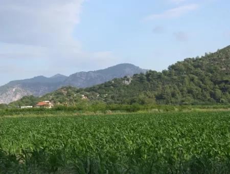 Bauernhof Zum Verkauf In Der Nähe Des Zentrums Von Dalyan,14, 612M2 Bauernhof Zum Verkauf