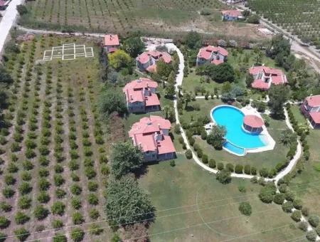 6000 M2 Grundstück Zum Verkauf In Koycegiz, Dalyan Zum Verkauf In Dalyan