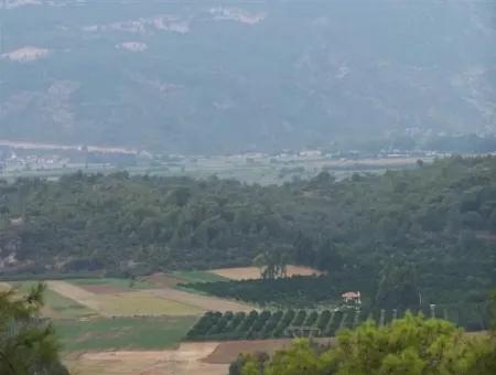 Gökçe Gökçe 21671M2 Bauernhof Zum Verkauf Zum Verkauf