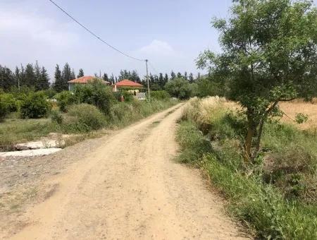 Ackerland Zum Verkauf 39 Hektar In Eskikoy