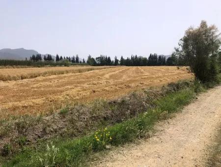 Ackerland Zum Verkauf 39 Hektar In Eskikoy