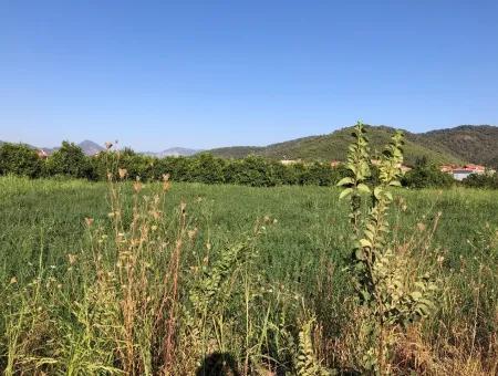 Land Zum Verkauf Im Zentrum 891M2 Land Zu Verkaufen