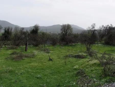 In Incirkoy Uzumlu Fethiye Grundstück Für Verkauf Bauernhof Zum Verkauf In Incirkoy