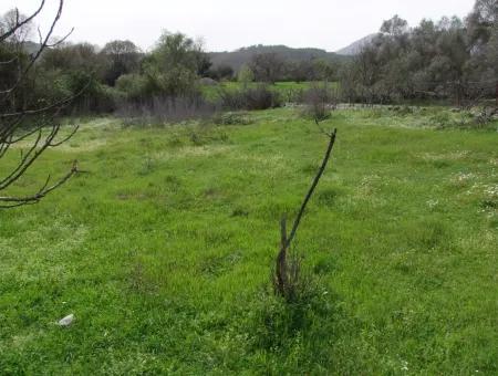 In Incirkoy Uzumlu Fethiye Grundstück Für Verkauf Bauernhof Zum Verkauf In Incirkoy