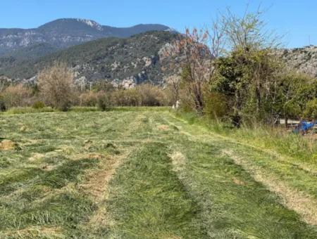 3700M2 Grundstück Zu Verkaufen In Dalyan