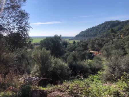 Grundstück Zum Verkauf Mit Meerblick Von Fevziye