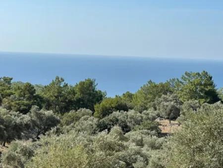 Feldgrundstück Zum Verkauf Mit Meerblick Von Çandir