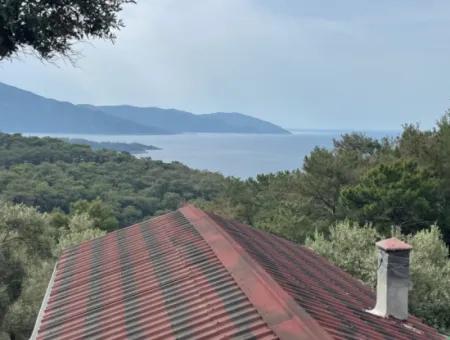 Olivenhaus Mit Meerblick In Ekincik Steht Zum Verkauf