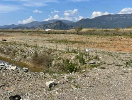 Dalyan Iztuzu Strand Straße Null 19.600M2 Feld Land Zum Verkauf