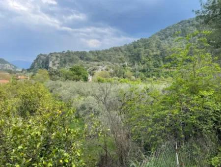 5000M2 Feld Zum Verkauf Am Anfang Der Straße In Çandır