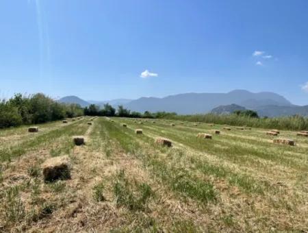 6.500 M2 Feld Zum Verkauf An Der Iztuzu-Straße In Dalyan