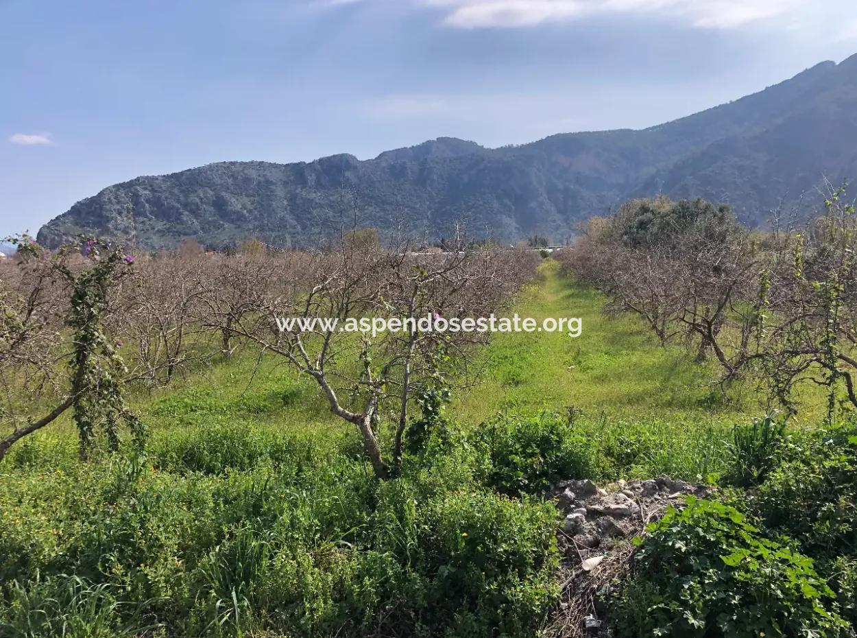 5500M2 Land For Sale In Dalyan