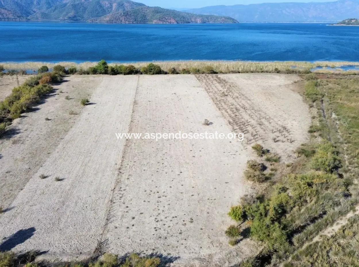 3210M2 2B Land For Sale By The Lake In Çandır