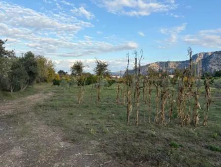 7,450M2 Land For Sale Close To The Center Of Dalyan