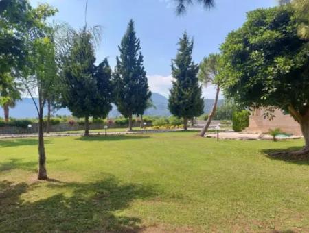 Villa For Sale In A Plot Of 3500M2 On The Road To Iztuzu Beach In Dalyan