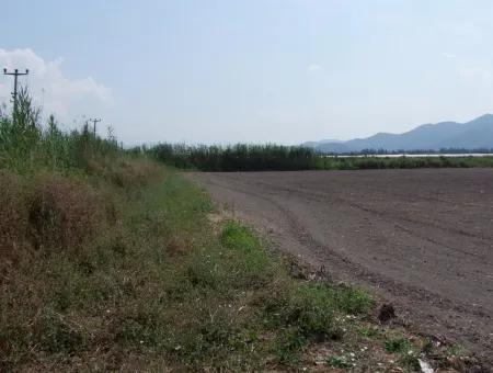 Farm For Sale In Dalyan Eskikoy Eskikoy Oriya 14,900M2 Plot For Sale Field