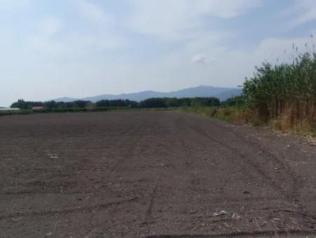 Farm For Sale In Dalyan Eskikoy Eskikoy Oriya 14,900M2 Plot For Sale Field