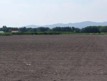 Farm For Sale In Dalyan Eskikoy Eskikoy Oriya 14,900M2 Plot For Sale Field