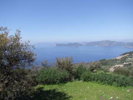 For Sale In Faralya Faralya With Sea View And 11,286M2 Land For Sale Tourism