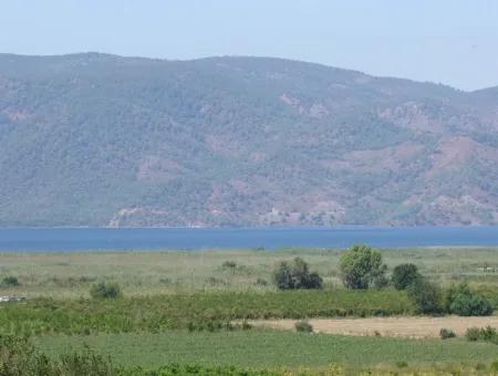 For Sale Farm For Sale In Dalyan 73410M2