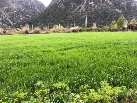 1500M2 Plot For Sale For Sale In Marmarli Archer