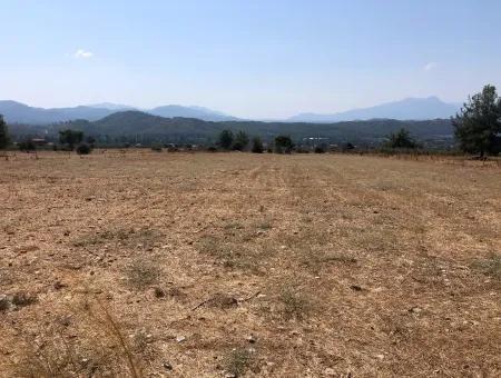 11.227M2 Land For Sale With Lake Views In Köyceğiz Zeytinalanı