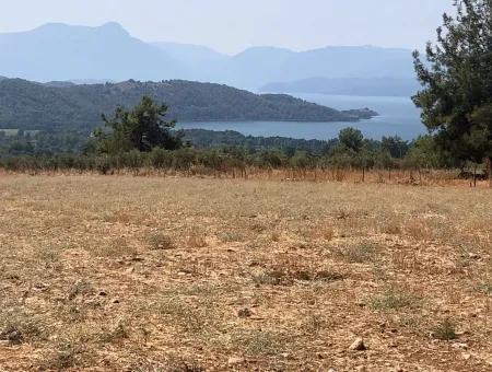 11.227M2 Land For Sale With Lake Views In Köyceğiz Zeytinalanı