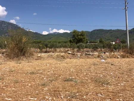 11.227M2 Land For Sale With Lake Views In Köyceğiz Zeytinalanı