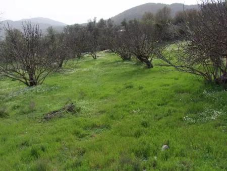 In Incirkoy Uzumlu Fethiye Plot For Sale Farm For Sale In Incirkoy