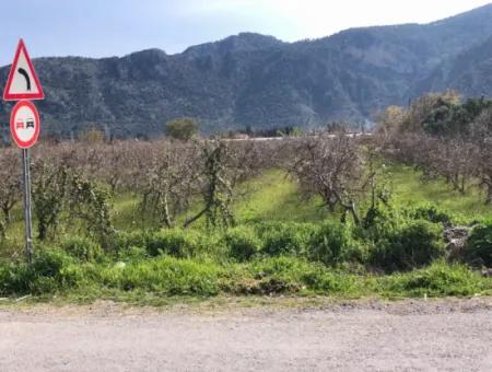 5500M2 Land For Sale In Dalyan