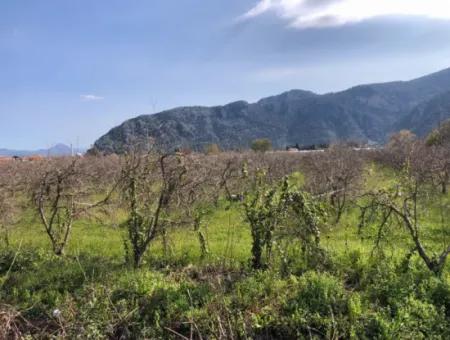 5500M2 Land For Sale In Dalyan