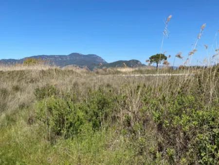 9310M2 Land For Sale In Dalyan