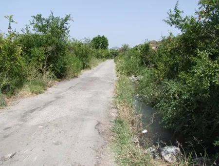 Land-Plot For Sale For Sale In Oriya Yerbele 750M20