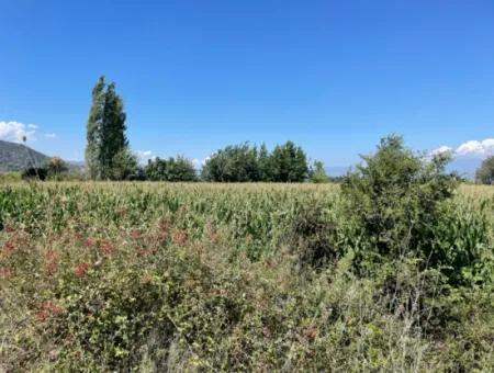 Dalyan Main Road Zero Land For Sale 8115M2 Commercial Land For Sale