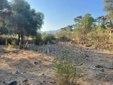 Çandir 3,800M2 Land For Sale