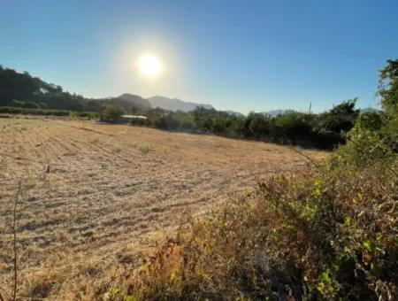 2000M2 Land For Sale In The Built-Up Area Of Çandir Village