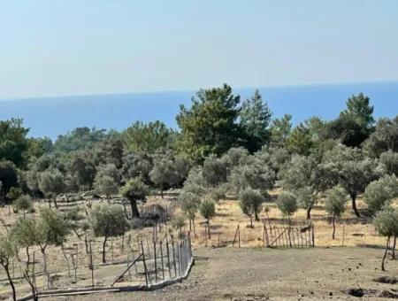 Land For Sale With Sea View Of Çandir