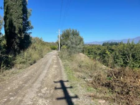 2223M2 Fields For Sale In Dalyan