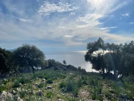 8,900M2 Field For Sale With Full Sea View In Ekincik