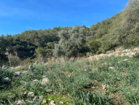 8,900M2 Field For Sale With Full Sea View In Ekincik