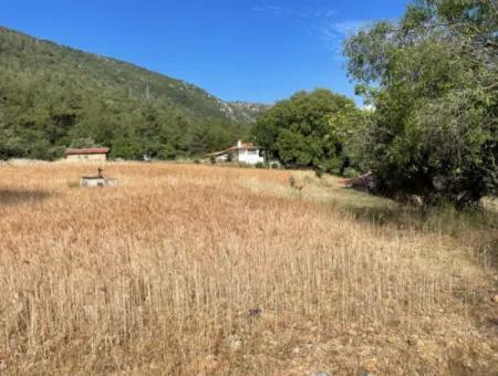 Land For Sale In Ula Armutchuk With 501M2 Zoning