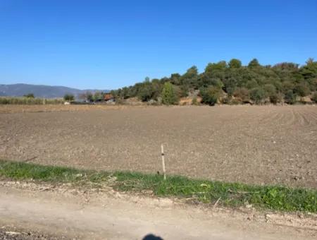 6254M2 Field For Sale Near Dalyan In Eskiköy