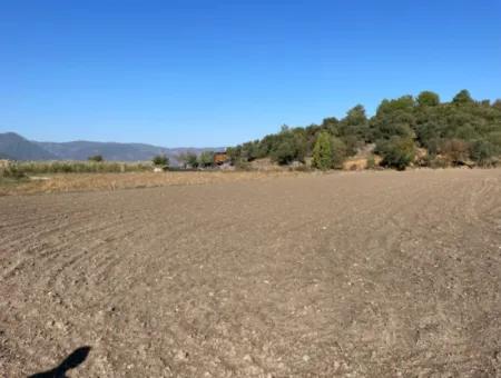 6254M2 Field For Sale Near Dalyan In Eskiköy