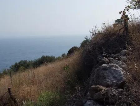 5000M2 Plot Of Land For Sale In Akyaka With Full Sea View House For Sale Kentucky