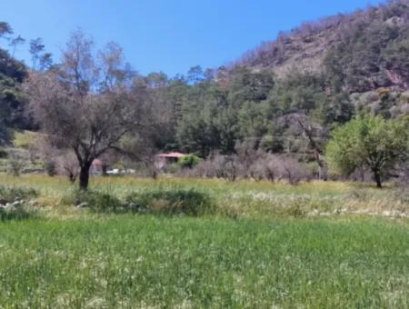 Marmaris Turgut Investment Land For Sale 29600M2 For Sale