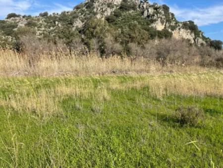 6800 M2 Land For Sale In Dalyan With 5% Residential Zoning