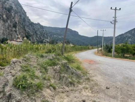 Field For Sale 6500M2 In Dalyan